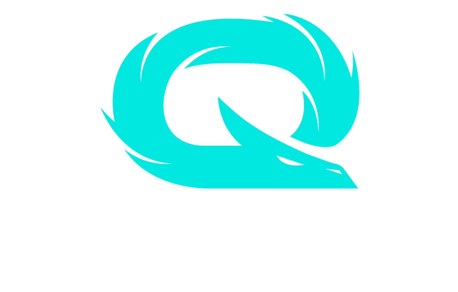 qlash_website_logo_big.png